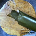 Leather - Dark Green [Shiny] (Sku234)